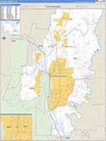Whitfield, Ga Carrier Route Wall Map