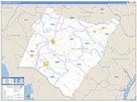 Williamsburg, Sc Carrier Route Wall Map