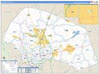 Williamson, Tx Carrier Route Wall Map