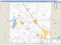 Wise, Tx Carrier Route Wall Map