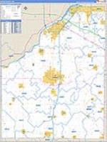 Wood, Oh Carrier Route Wall Map