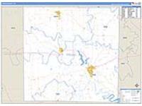 Young, Tx Carrier Route Wall Map