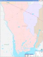 Seminole, Ga Wall Map