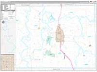 Adair, Mo Carrier Route Wall Map