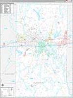 Alamance, Nc Carrier Route Wall Map
