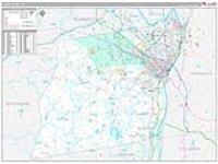 Albany, Ny Carrier Route Wall Map