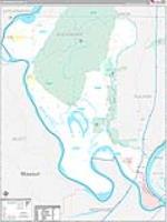 Alexander, Il Wall Map Zip Code