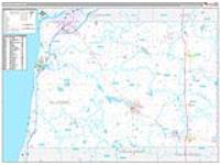 Allegan, Mi Carrier Route Wall Map