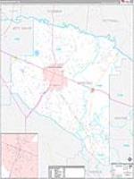 Appling, Ga Carrier Route Wall Map