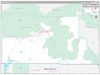 Archuleta, Co Carrier Route Wall Map
