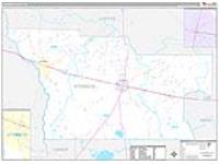 Atkinson, Ga Carrier Route Wall Map