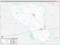 Austin, Tx Carrier Route Wall Map