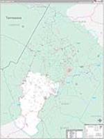 Avery, Nc Carrier Route Wall Map