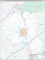 Banks, Ga Carrier Route Wall Map