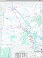 Bartow, Ga Carrier Route Wall Map