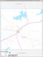 Baylor, Tx Carrier Route Wall Map