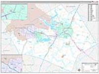 Bell, Tx Carrier Route Wall Map