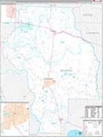 Berrien, Ga Carrier Route Wall Map