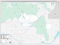 Blaine, Id Carrier Route Wall Map