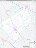 Bleckley, Ga Carrier Route Wall Map