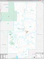 Bollinger, Mo Carrier Route Wall Map