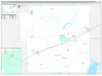Bond, Il Carrier Route Wall Map
