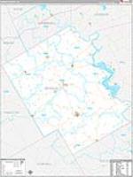 Bosque, Tx Carrier Route Wall Map
