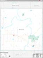 Briscoe, Tx Carrier Route Wall Map