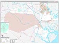 Bryan, Ga Carrier Route Wall Map