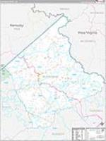 Buchanan, Va Carrier Route Wall Map