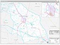 Bulloch, Ga Carrier Route Wall Map