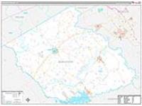 Burleson, Tx Carrier Route Wall Map