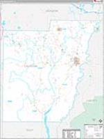 Calhoun, Fl Carrier Route Wall Map