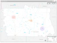 Calhoun County, GA Wall Map Color Cast Style by MarketMAPS - MapSales.com