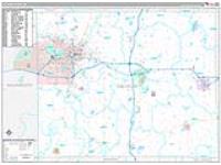 Calhoun, Mi Carrier Route Wall Map