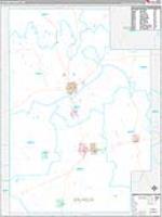 Calhoun, Ms Carrier Route Wall Map
