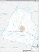 Candler, Ga Carrier Route Wall Map