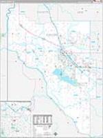 Canyon, Id Carrier Route Wall Map