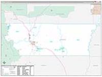 Carbon, Ut Carrier Route Wall Map