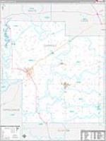 Carroll, In Carrier Route Wall Map