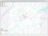 Caswell, Nc Carrier Route Wall Map