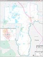 Charlton, Ga Carrier Route Wall Map