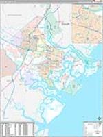 Chatham, Ga Carrier Route Wall Map