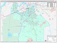 Chesapeake, Va Wall Map Zip Code