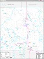 Clare, Mi Carrier Route Wall Map