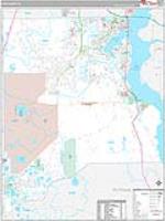 Clay, Fl Carrier Route Wall Map