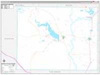 Coke, Tx Carrier Route Wall Map