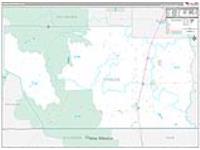 Conejos, Co Carrier Route Wall Map