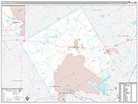 Coryell, Tx Carrier Route Wall Map