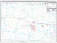 Coshocton, Oh Carrier Route Wall Map